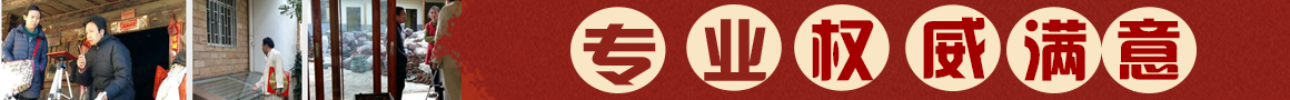 有名的风水大师